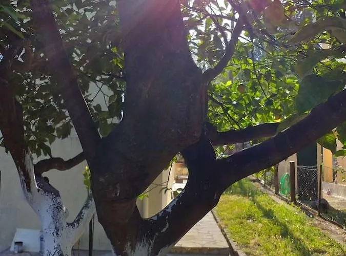 Villa Rosa Di Marios *