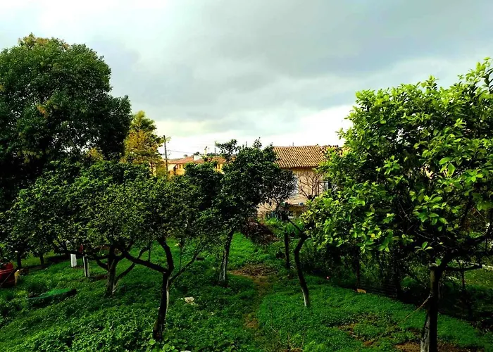 公寓 Villa Rosa Di Marios