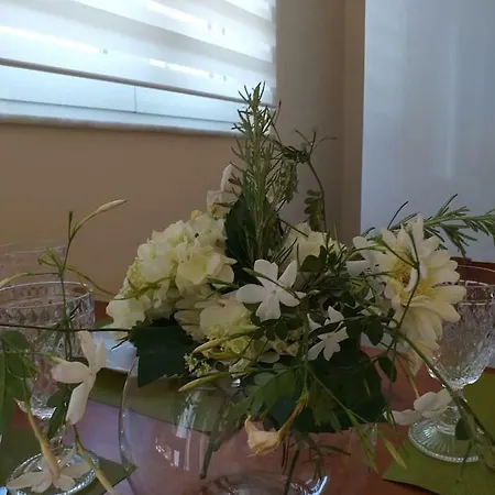 Apartment Rosa Garden House Corfu (city)