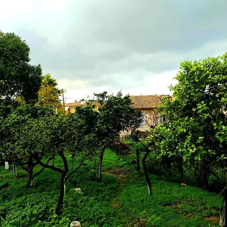 Apartment Rosa Garden House